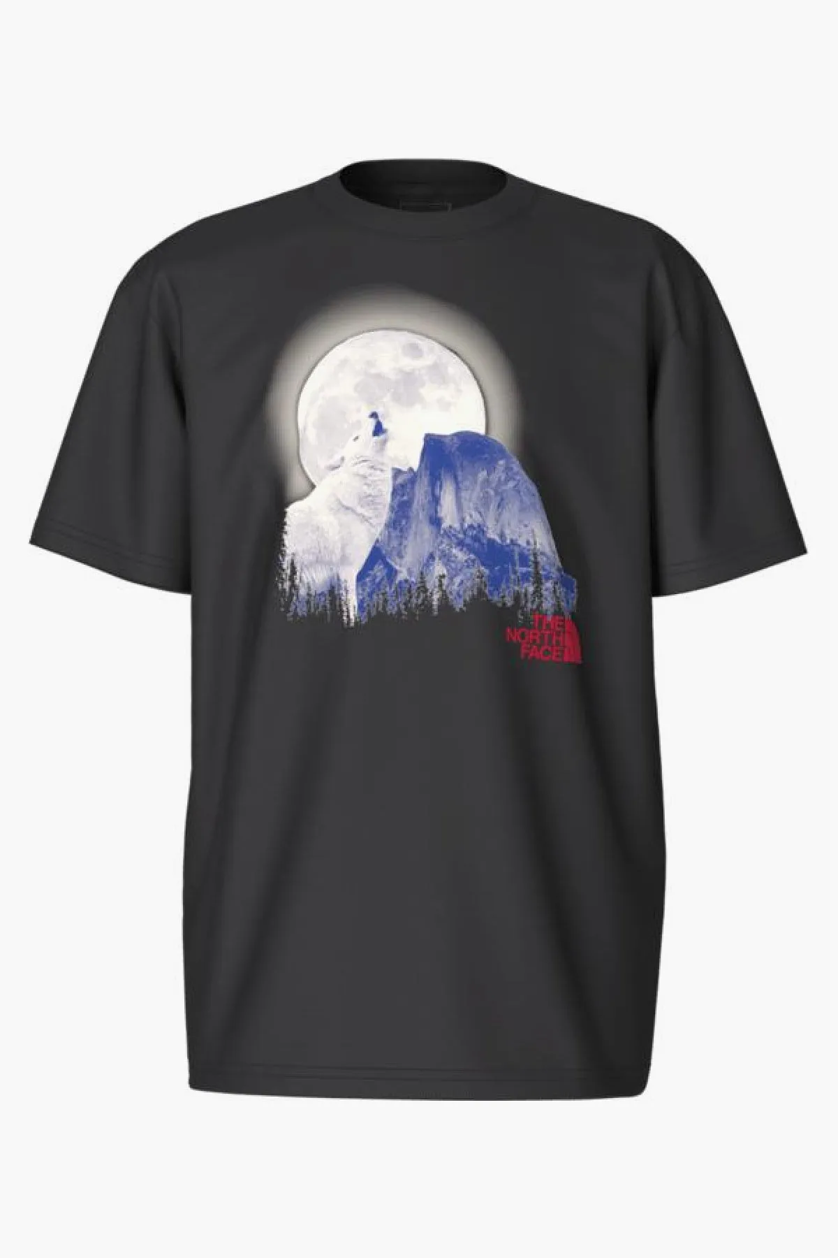 Boys T-Shirt North Face Howling Wolf T-Shirt (Size 6 left)