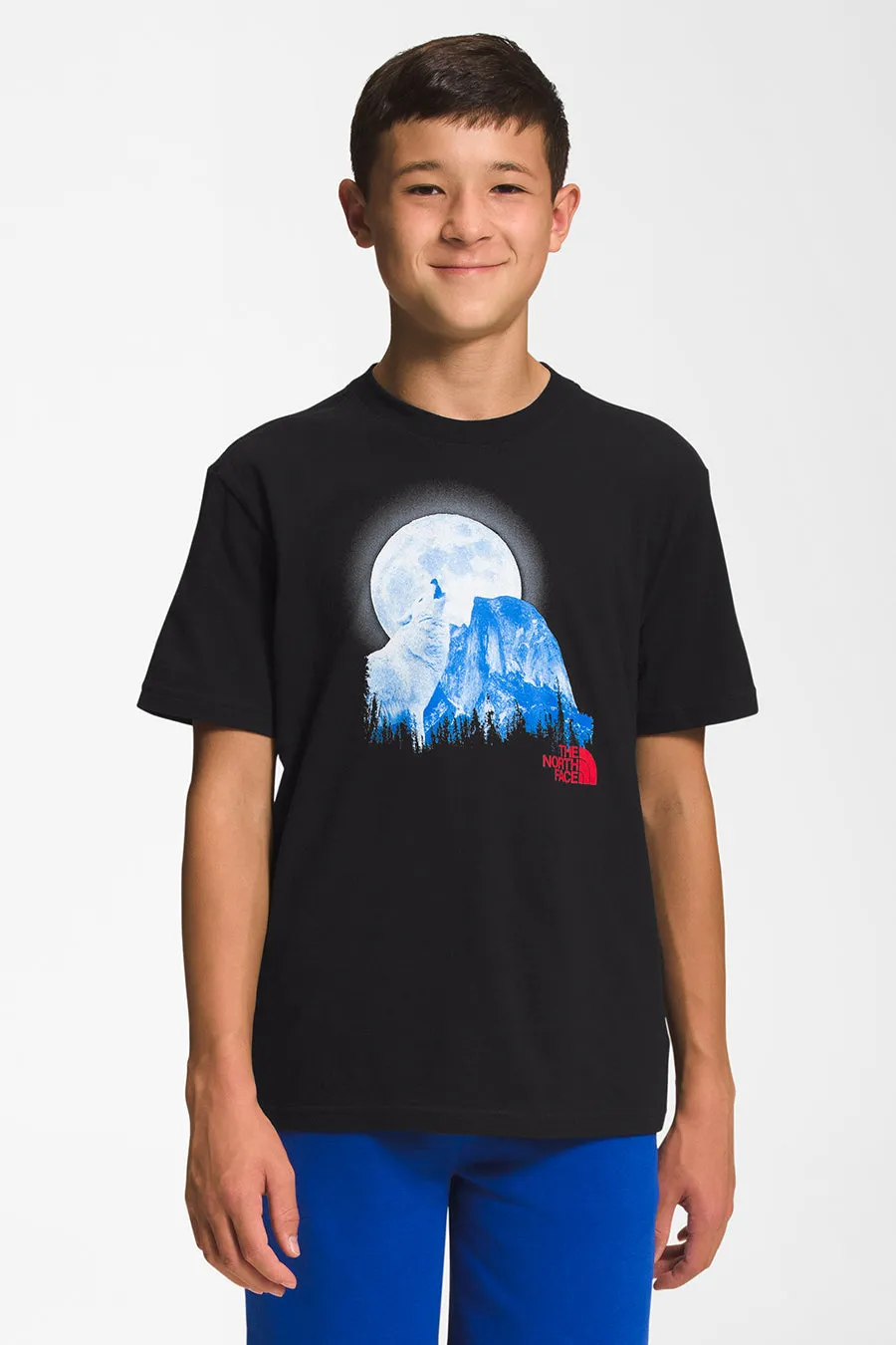 Boys T-Shirt North Face Howling Wolf T-Shirt (Size 6 left)