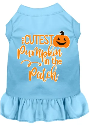 Cutest Pumpkin In The Patch Screen Print Dog Dress Baby Blue 4x